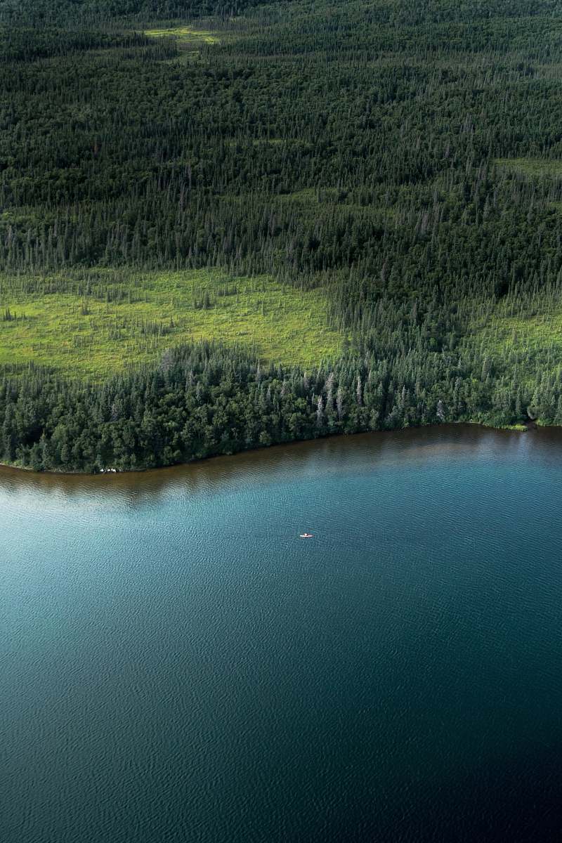 katmai national park and preserve trees near body of water king salmon